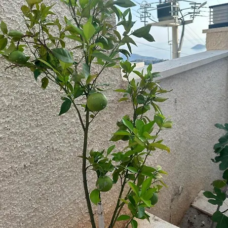 Kalkan Beauty Honeymoon ヴィラ カシュ